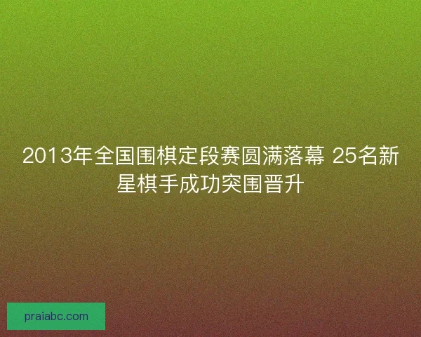 2013年全国围棋定段赛圆满落幕 25名新星棋手成功突围晋升